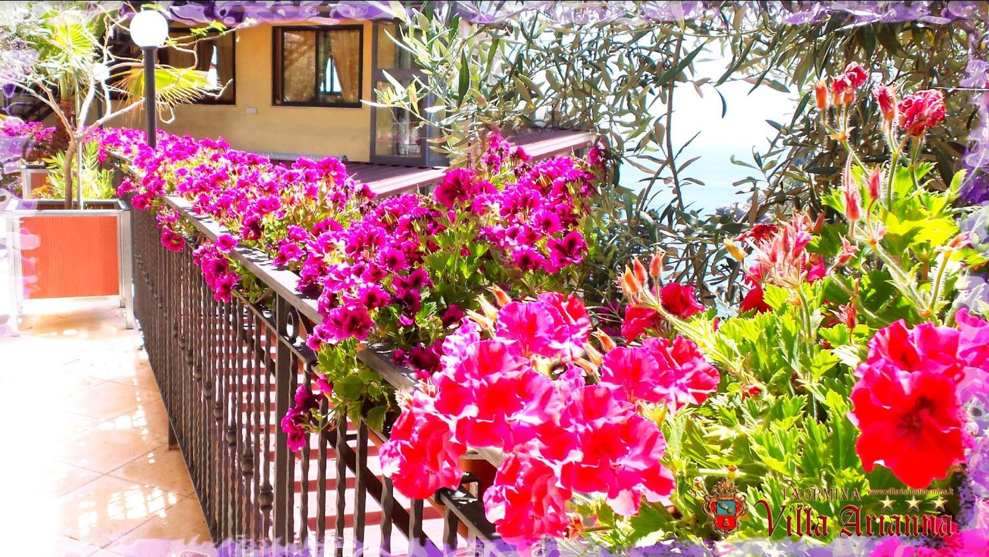 Villa Arianna B&B Taormina Exterior photo